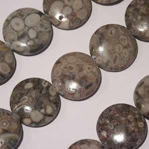 Ocean Fossil Jasper Coin 20mm