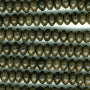 Coffee Jasper Plain Rondelles 12mm x 7mm